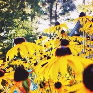 Meet your Posher, Sonja